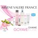 MASQUE DE BEAUTE ARSENE VALERE A LA GOYAVE ROSE 400ML