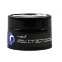 SIBEL POUDRE ACRYLIC TRANSPARENT 20G