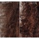 WELLA PROFESSIONNELLE SAMPOING NUTRICURL 1L