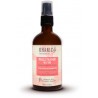 MIRACLE TREATMENT LEAVE-IN OHANIC 100 ML